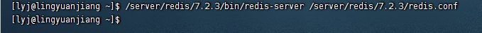 redis启动